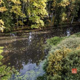 Foto inzerátu Prodej specifického pozemku 64 790 m², Chlum u Třeboně