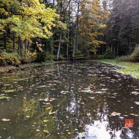 Foto inzerátu Prodej specifického pozemku 64 790 m², Chlum u Třeboně