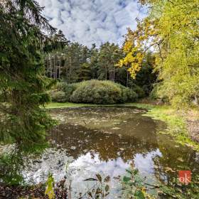 Foto inzerátu Prodej specifického pozemku 64 790 m², Chlum u Třeboně