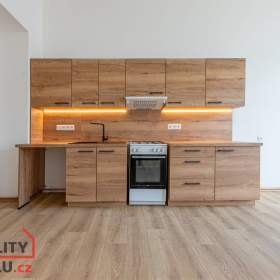 Pronájem bytu 2+kk 56 m², Plzeň / 19631741