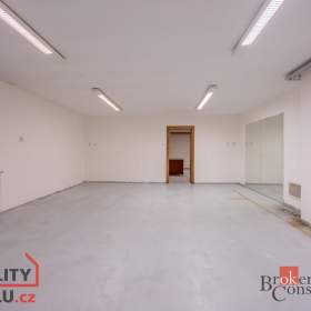 Foto inzerátu Pronájem vily 369 m², Dolní Břežany