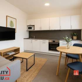 Pronájem bytu 1+kk 37 m², Světnov / 19635591