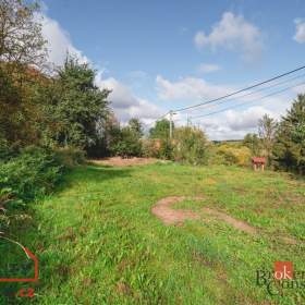 Fotka k inzerátu Prodej stavebního pozemku 738 m², Čečovice / 19063642