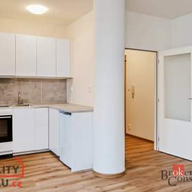Pronájem bytu 1+kk 53 m², Praha / 19645797