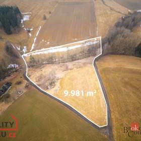 Prodej stavebního pozemku 9 989 m², Pěčín / 19651276