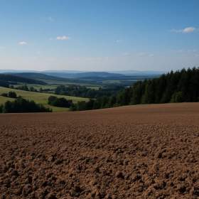 Fotka k inzerátu Prodej pole 54 810 m², Bohdašín / 19651188