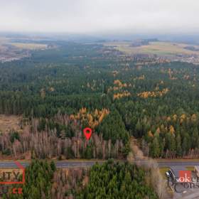 Foto inzerátu Prodej lesa 5 425 m², Radčice