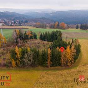 Foto inzerátu Prodej lesa 5 425 m², Radčice