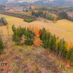 Foto inzerátu Prodej lesa 5 425 m², Radčice