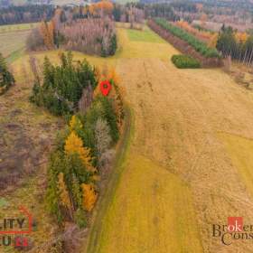 Foto inzerátu Prodej lesa 5 425 m², Radčice