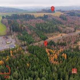 Prodej lesa 5 425 m², Radčice / 19655249