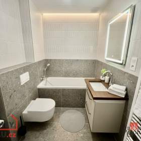 Pronájem bytu 2+kk 42 m², Brno / 19655817