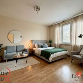 Pronájem bytu 1+1 30 m², Louny / 19662204
