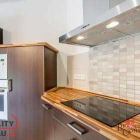 Foto inzerátu Pronájem rodinného domu 232 m², Plzeň