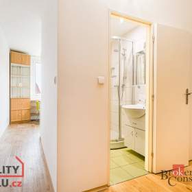 Foto inzerátu Pronájem bytu 1+1 41 m², Brno