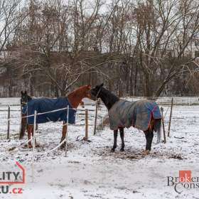 Foto inzerátu Prodej specifické nemovitosti 2 093 m², Nučice