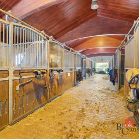Foto inzerátu Prodej specifické nemovitosti 2 093 m², Nučice