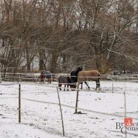 Foto inzerátu Prodej specifické nemovitosti 2 093 m², Nučice