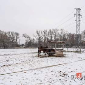 Foto inzerátu Prodej specifické nemovitosti 2 093 m², Nučice