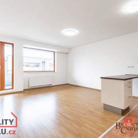 Pronájem bytu 2+kk 62 m², Česká / 19671636