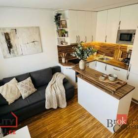 Pronájem bytu 1+1 40 m², Cvikov / 19671802