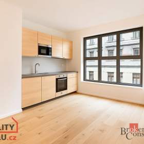 Fotka k inzerátu Pronájem bytu 1+kk 23 m², Brno / 19629488