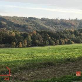 Foto inzerátu Prodej stavebního pozemku 927 m², Čavisov