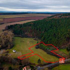 Foto inzerátu Prodej stavebního pozemku 7 000 m², Plasy