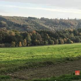 Prodej stavebního pozemku 1 395 m², Čavisov / 19801016