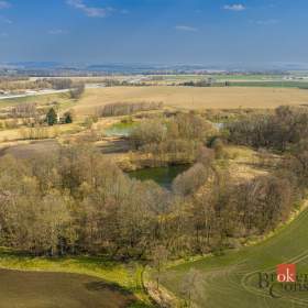 Foto inzerátu Prodej stavebního pozemku 840 m², Moravany