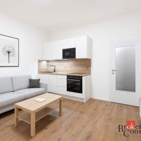 Pronájem bytu 1+kk 22 m², Ostrava / 19835268