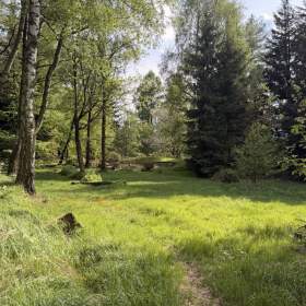 Foto inzerátu Prodej louky 8 717 m², Frýdlant