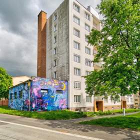 Foto inzerátu Prodej bytu 2+1 58 m², Planá