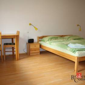 Foto inzerátu Prodej nemovitosti pro ubytování 2 115 m², Široká Niva