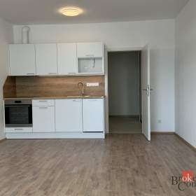 Prodej bytu 1+kk 41 m², Plzeň / 19857244