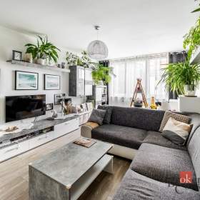 Prodej bytu 2+1 60 m², České Budějovice / 19857600