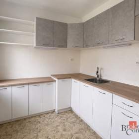 Pronájem bytu 1+kk 25 m², Opava / 19865564