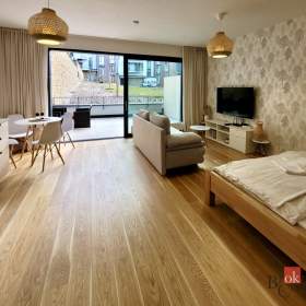 Fotka k inzerátu Prodej bytu 1+kk 66 m², Lipno nad Vltavou / 19602716