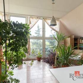 Foto inzerátu Prodej rodinného domu 402 m², Hodonice