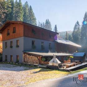 Foto inzerátu Prodej nemovitosti pro ubytování 650 m², Strážné