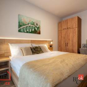 Prodej specifické nemovitosti 47 m², Černý Důl / 19888142