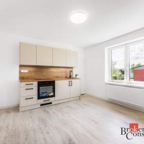 Prodej bytu 1+1 45 m², Frýdek- Místek / 19890808