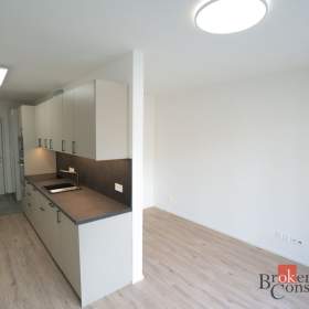 Foto inzerátu Pronájem bytu 1+kk 31 m², Plzeň