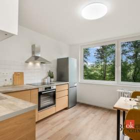 Pronájem bytu 3+1 79 m², Praha / 19905678