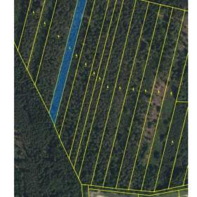 Prodej lesa 32 388 m², Třeboň / 19905750