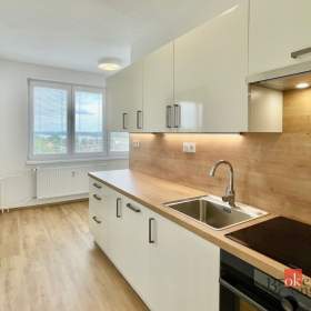 Pronájem bytu 1+1 43 m², Zliv / 19914715