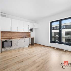 Pronájem bytu 1+kk 26 m², Plzeň / 19915070
