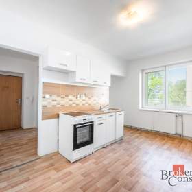 Prodej bytu 1+1 45 m², Ostrava / 19920230