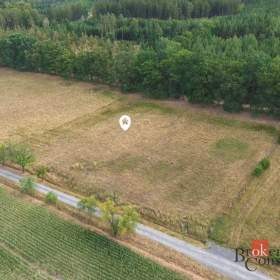 Foto inzerátu Prodej specifického pozemku 7 848 m², Kamenný Újezd