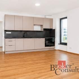 Foto inzerátu Pronájem bytu 1+kk 47 m², Plzeň